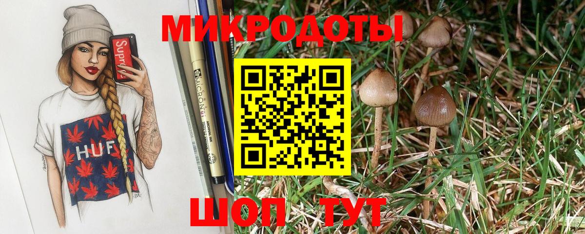 Псилоцибиновые грибы мицелий  Галлюциногенные грибы Psilocybe  Урай  Вход с VPN 